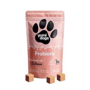 Probiotics For Dogs, Dog Probiotic That ...