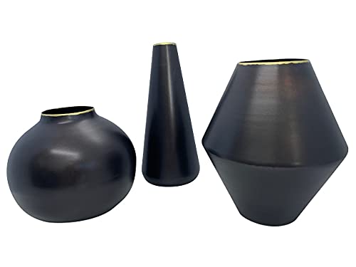 KADINA Set of 3 Iron with Brass Trim Bud vases, Black Rustic Home Decor or Modern Farmhouse Decor Ideal vase Accent Pieces for Living Room Decor, Kitchen Decor, Dining Room Decor, Home Office Decor