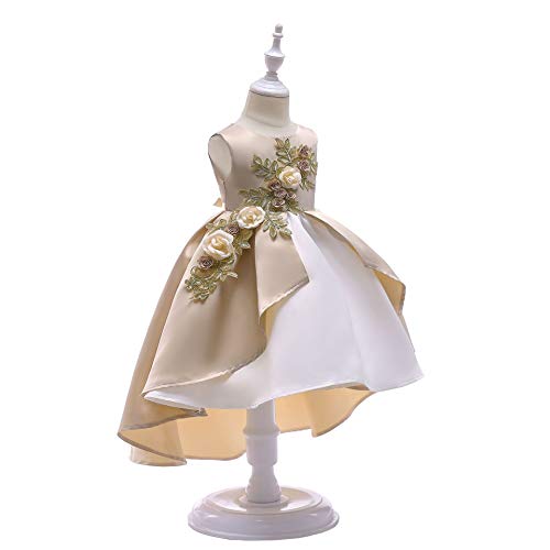 Robe de performance pour enfants aux broderies délicates
