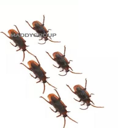 MADDY GROUP Realistic Prank Cockroach Toy For Kids|Rubber Fake Cockroach Gag Toy|Novelty Gag Toy|Practical Jokes Toy (Brown, Pack Of 6) (B0BRNL67N2) Amazon Price History, Amazon Price Tracker