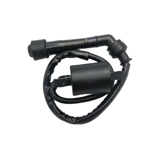 Bobina de encendido ATV 660 para una chispa estable y arranque rápido en tu YFM660R de 660cc