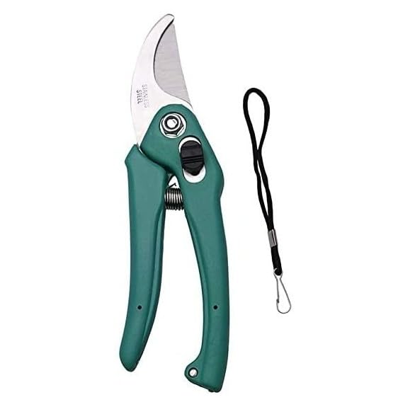 Aarav Gardening Assorted Hand Pruner Cutter | Pruning Cutter - 1 Pc (Steel Blades) Heavy Duty Gardening Cutter Tool | Plant Cutter for Home Garden | Wood Branch Trimmer | Grass Cutting Accessories (B0CG72R5WT) Amazon Price History, Amazon Price Tracker
