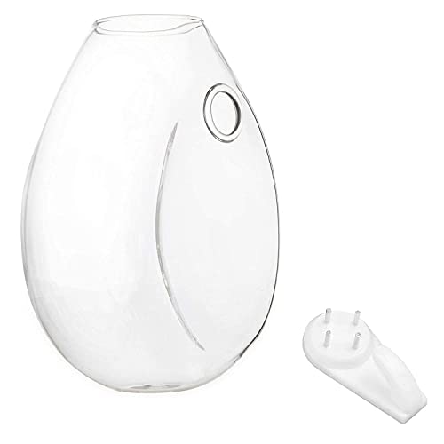 Fashionstorm Glass Wall Planters Wall Propagation Vases Glass Terrariums Planter, Wall Plant Holder Indoor Glass Plant Pot Propagations Station Oval Flower Vases 6 Pieces