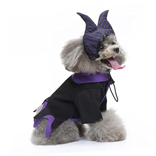 Disfraz para perro bruja S 3 piezas POPETPOP Halloween miniatura 3