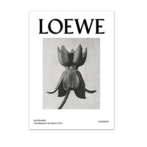 Nórdico Moderno Blanco Y Negro Plantas Luz Francesa Arte De Lujo Loewe Cuadro Sobre Lienzo Para Pared Carteles Para La Decoración Del Hogar De La Sala De Estar 40X50Cm Sin Marco Cover