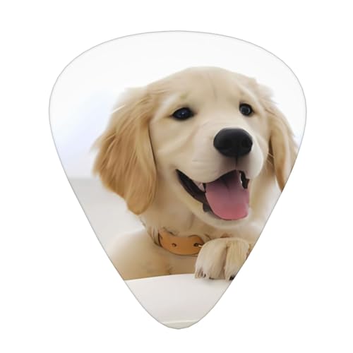 Golden Retriever Puppies �v�����g�M�^�[�s�b�N�A�M�^�[�v���N�g�����Z�����C�h�s�b�N �N���V�b�N�g���C�A���O���s�b�N 0.46mm 0.71mm 0.96mm���܂ރA�R�[�X�e�B�b�N/�G���N�g���b�N/�x�[�X�M�^�[�p