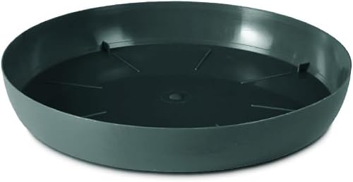 B2C Round Plastic Water Plant Pot Saucer Trays Anthracite 9.5Cm from B&Q