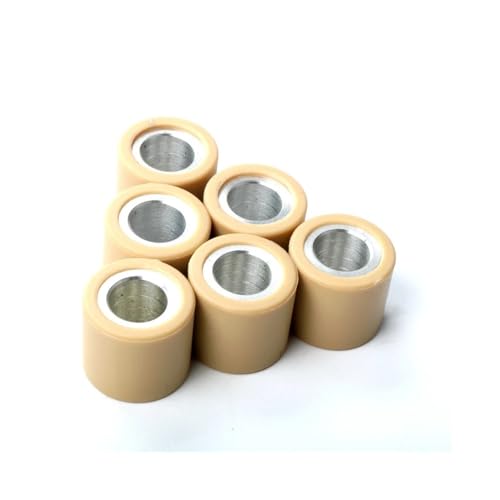 6 PC Rodillos Variadores Pesos 19 x 17 mm 5 g 7 g 9 g for G lera 125 Dna Nexus Eu3 Ie Runner Fx Fxr Runner Vx Typh on 125cc(19 x 17mm 7g)