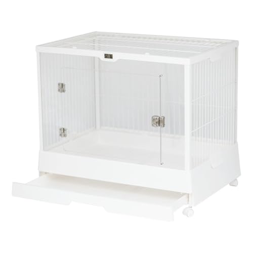 Diexgiy ANiP[W ETMP[W KȃXv[Ah~ETM̑ bg[ (ANP[WhA-zCg)