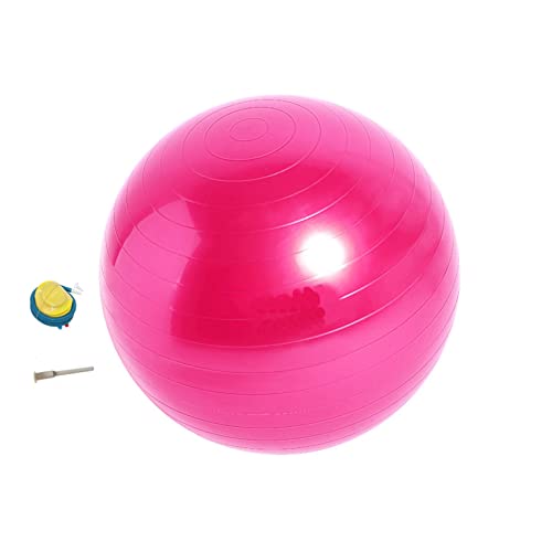 Mies oX{[ 55cm 65cm 75cm tbg|vt jp  ω׏d100KG A`o[Xg ~ X|[c oX {[ tBbglX{[ seBX{[ K ֎q \tg AQ ƒp d (65cm, 