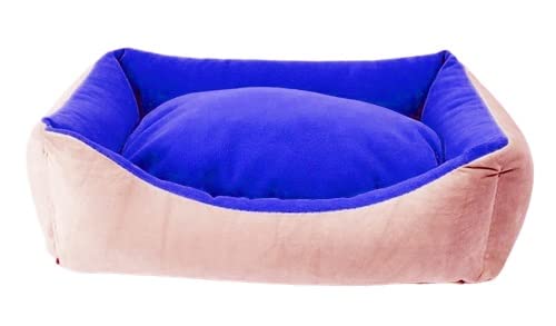 Cutepups (XXXL Size Square Shapef Dog Bed for Labrador,German Shepherds,Golden Retrievers,Dachshund,Beagles,Pug,Pomeranians,Rottweilers (Cream/Blue Color) (B0C193QGZN) Amazon Price History, Amazon Price Tracker