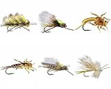 Golden Stoneflies Assortment - Collection of 6 Flies - Dries and Nymphs Freshwater Flies