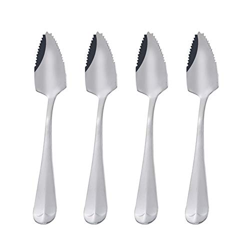 Apofly Cuillères en acier inoxydable Serrated Edge Dessert Spoon 4 pièces pour la maison Cuisine Grattage de Sliver