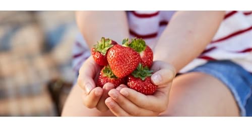 BerryWorld Premium British Strawberries, 300g