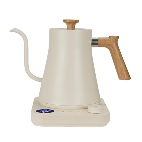 Hervidor eléctrico gooseneck acero inoxidable 0.9L