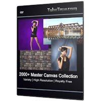 DVD-ROM 2000+ Master Canvas Collection Book