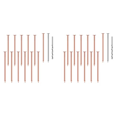 ikan ؂𔰍̂邽߂̓BLbg 28 A3.5 C`BoNA؂芔XpCN ؗpn[hEFAB