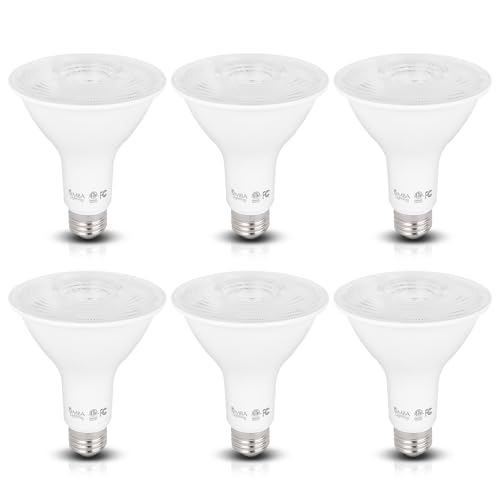 Simba Lighting LED PAR30 Long Neck Spotlight