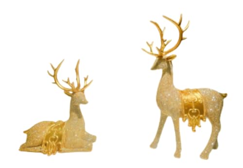 EiuuiojfXNgbṽNX}XfR[VANX}X̃giJC̒u (S[f)