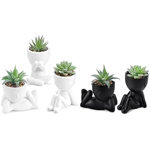 Der Rose Bundle of 3 Pack Succulents Plants and 2 Pack Fake Plants for Bathroom Bedroom Home Room Decor Aesthetic Indoor