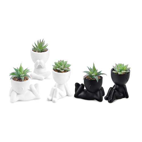 Der Rose Bundle of 3 Pack Succulents Plants and 2 Pack Fake Plants for Bathroom Bedroom Home Room Decor Aesthetic Indoor