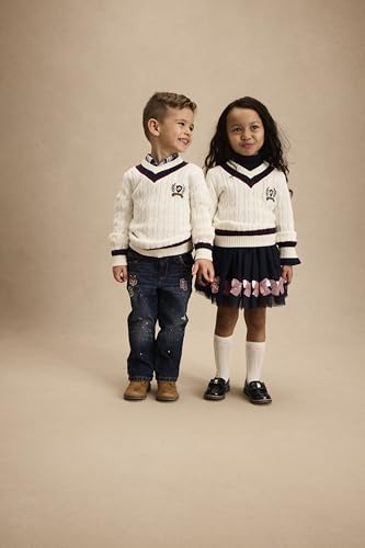 Gymboree Baby Boys' and Toddler Long Sleeve V-Neck Pullover Sweater4