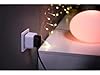 Philips Hue Prise intelligente pour domotique intelligente. Fonctionne avec Alexa, Google Assistant et Apple Homekit