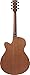Ibanez PC54CE Acoustic-electric Guitar - Natural