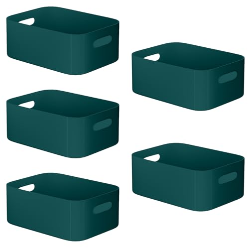 W&H 5 PCS Plastic Storage Boxes, Medium Plastic Storage Baskets with Handle, Home & Kitchen Cupboard Boxes
