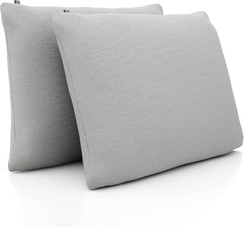 Sofakissen mit Füllung und Bezug - Sofakissen 60x80 cm - Couchkissen Beige 2er Set mit viel Füllung – OekoTex zertifizierte Zierkissen für Sofa & Couch – Bequeme Dekokissen Wohnzimmer, Schlafzimmer