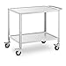 Produktbild Royal Catering RCGW 12 Servierwagen 2 Borde 80 x 57 x 3,5 cm 100 kg 53 cm Abstand Servierwagen Küchenwagen Edelstahl Küchenrollwagen Rollwagen Küche