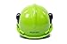 Greenworks Chainsaw Safety Helmet with Earmuffs GWSH0