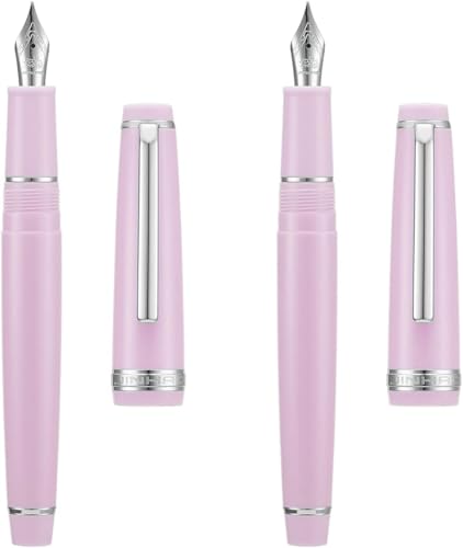 Stylo-plume F et M en résine rose et argent avec convertisseur