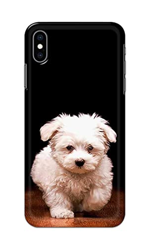 Image of PRINTFIDAA� Printed Hard Back Cover Case for Apple iPhone Xs Max Back Cover (Puppy Dog) -2808