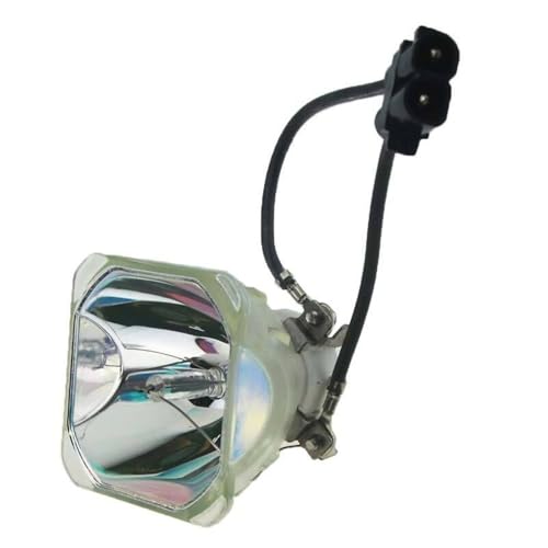 Lampe projecteur POA-LMP141 idéale pour les cours et réunions