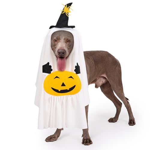 �n���E�B�� �y�b�g�� �R�X�v�� �� �L�p ���� ���΂��̈ߑ� ���Ԃ���� �}���g �ߑ� �y�b�g ���^�� ���^�� ��^�� �ϐg�� �N���X�}�X �ʐ^�B�e (M)