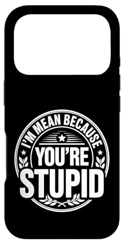 I'm Mean Because You're Stupid �ڗ�Ȕ�� - �X�}�z�P�[�X iPhone 17 Pro �p