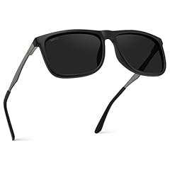 Matte Black Frame / Black Polarized Lens
