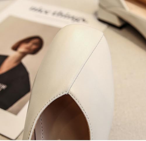 Niction PU Leather Flats for Women Casual Round Toe Flat Shoes Mary Jane Ballet Flats Shoes Cute Trendy Comfortable Dressy Work Flat 20253