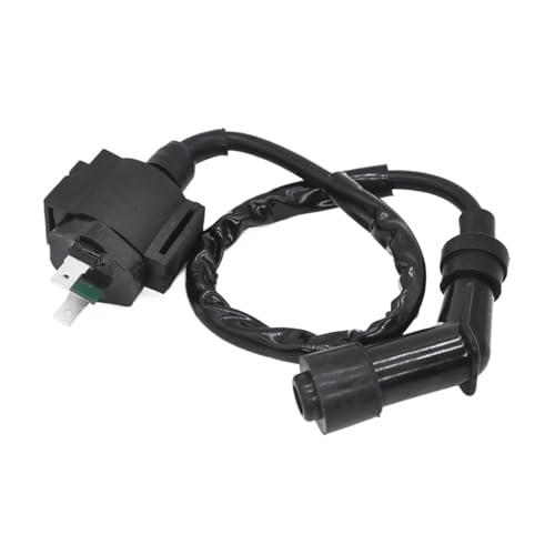 Bobina de encendido para revivir el arranque de tu Fourtrax 350D 3