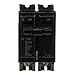 General Electric THQL21100 Thick Series 2-Pole 100-AMP Circuit Breaker