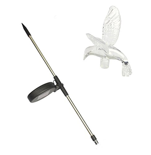 Nema NM Solar LED Lawn Or Garden Path Light - Humming Bird