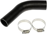 Dorman 573-079 Fuel Filler Hose Compatible with Select Ford Models