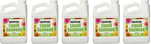 Maxicrop Liquid Seaweed (Kelp Extract, 32 Oz (5-(Pack))
