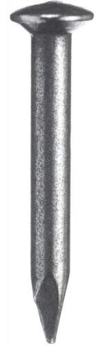 100 Stück Stahl-Bildernägel Maße: 2,5 x 25 mm, Material: Eisen gehärtet, gebläut, Stahlnagel Cover