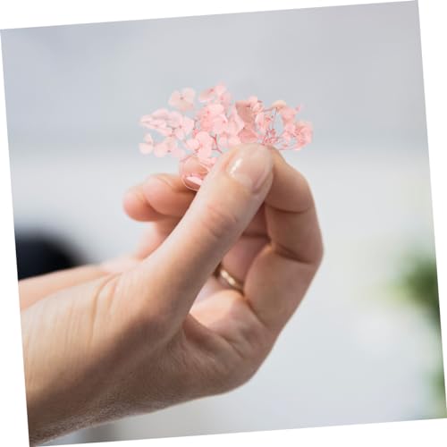 Hojas de Hortensia Secas Rosadas Naturales para Decoración miniatura 2