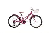 bici 20 pollici Velomarche BICI 20 NEW PAPILLON 6V VIA VENETO girl (fuxia)