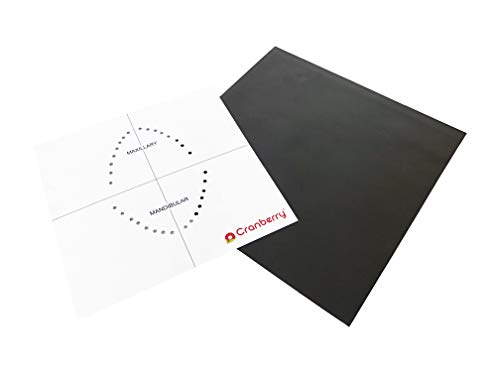 Cranberry Usa Cranberry Cr8466 Carbon Dental Dam Non-Latex Powder-Free, Spearmint Scented, 6X6, Dark Grey (Pack Of 15) #TOP2