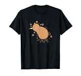 Kiwi Bird Kiwi fruit Fruit Ratite Maori New