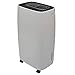 WHITE - Deumidificatore portatile 12L Refrigerante Ecologico Basso Consumo per Cantina della Camera da Letto Domestica Armadio del bagno